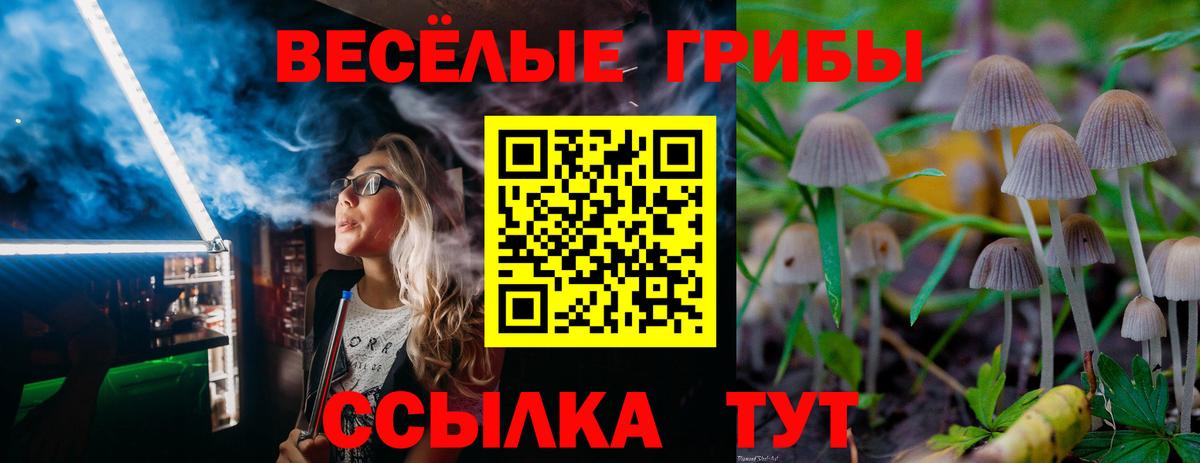 Шатура  Галлюциногенные грибы MAGIC MUSHROOMS  Вход с VPN 